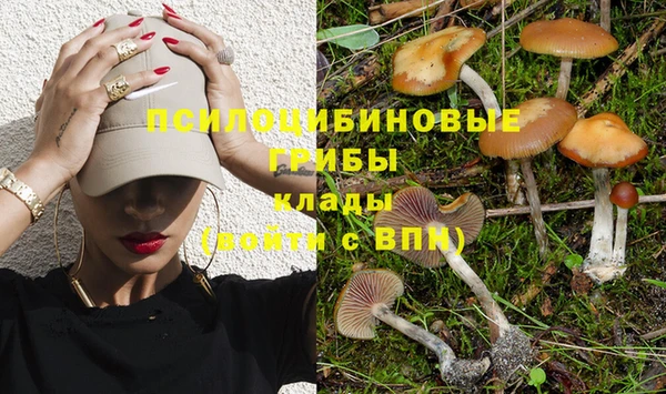 круглые Армянск