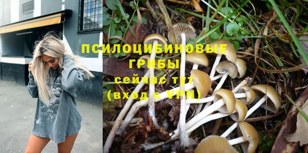 герыч Аркадак