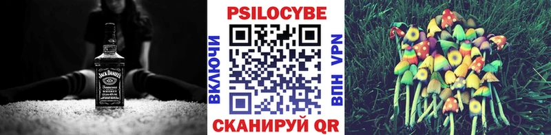 Псилоцибиновые грибы Psilocybine cubensis  Далматово 